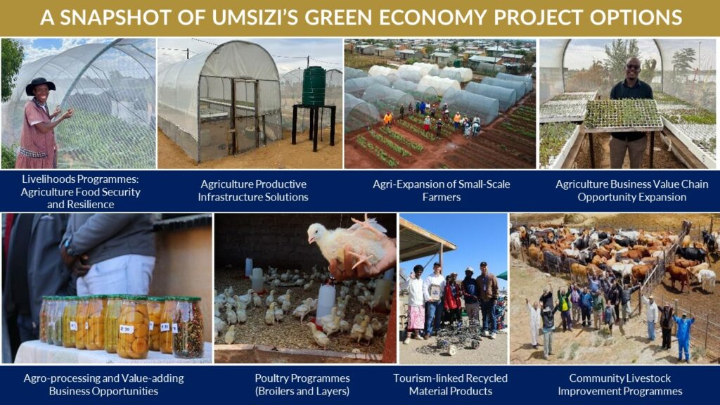 Green Economy for Sustainable Enterprise Development