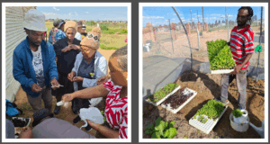 The Strategic Role of Local Economic Development (LED) in South Africa