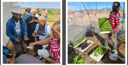 The Strategic Role of Local Economic Development (LED) in South Africa