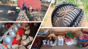 LED programmes focusing on utilising local resources