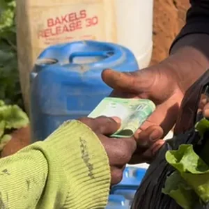 Produce being bought and sold in a local food economy supported by an Umsizi livelihoods programme